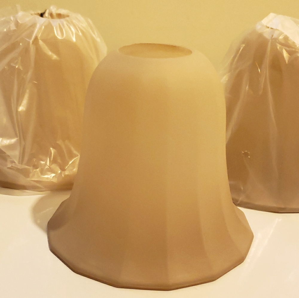 Light Globes Shade